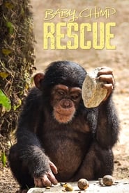 Baby Chimp Rescue' Poster
