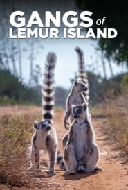 Gangs of Lemur Island' Poster