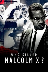 Who Killed Malcolm X' Poster