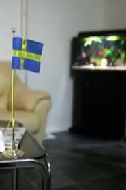 Sverigedemokraterna  Vgen till riksdagen