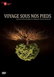 Voyage sous nos pieds' Poster
