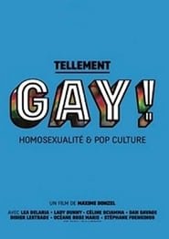 Tellement Gay Homosexualit et pop culture' Poster