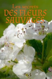 Les secrets des fleurs sauvages' Poster