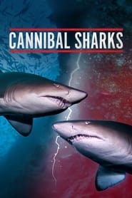 Cannibal Sharks' Poster