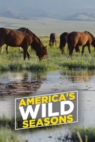 Americas Wild Seasons' Poster