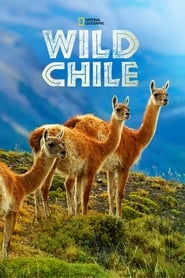 Wild Chile' Poster