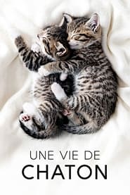 The Secret Life of Kittens' Poster