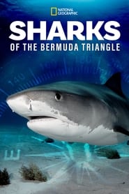 Sharks of the Bermuda Triangle' Poster