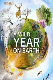 A Wild Year on Earth' Poster