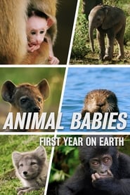 Animal Babies First Year on Earth' Poster