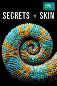 Secrets of Skin' Poster