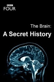 The Brain A Secret History' Poster