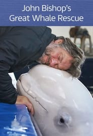 Streaming sources forThe Great Whale Rescue
