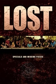 Lost Missing Pieces' Poster