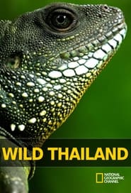 Wild Thailand' Poster