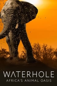 Waterhole Africas Animal Oasis' Poster