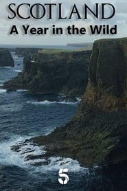 Scotland A Wild Year' Poster
