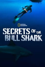 Secrets of the Bull Shark' Poster