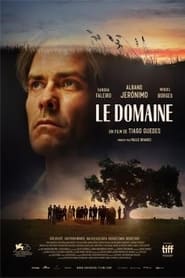 The Domain' Poster