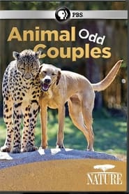 Animal Odd Couples' Poster