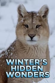 Winters Hidden Wonders' Poster