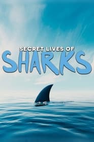 The Secret Lives of Sharks' Poster