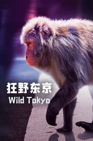 Wild Tokyo' Poster