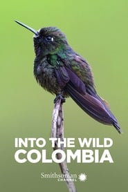 Into the Wild Colombia' Poster