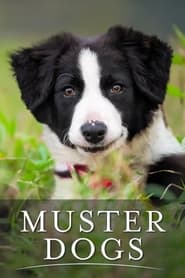 Muster Dogs' Poster