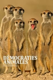 Dmocraties animales' Poster