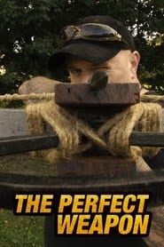 Perfect Weapon' Poster