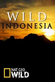 Destination Wild Indonesia' Poster