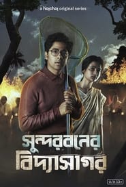 Streaming sources forSundarbaner Vidyasagar