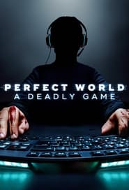Perfect World A Deadly Game' Poster