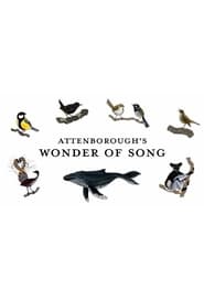 Attenboroughs Wonder of Song' Poster