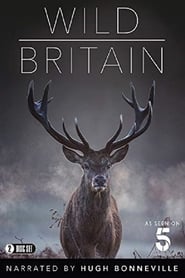 Wild Britain' Poster