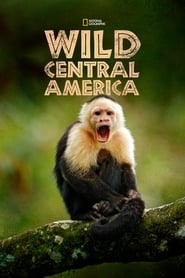 Wild Central America' Poster
