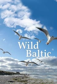 Wild Baltic' Poster