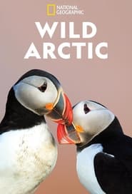 Destination Wild Wild Arctic' Poster