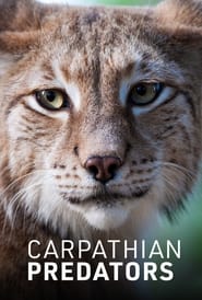 Carpathian Predators' Poster