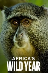 Africas Wild Year' Poster