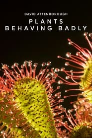 Plants Behaving Badly' Poster