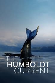 The Humboldt Current' Poster