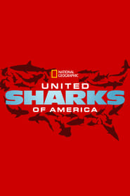 United Sharks of America' Poster
