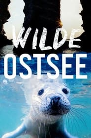 Wilde Ostsee' Poster