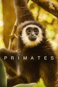 Primates' Poster