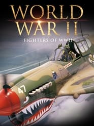 Fighters of WWII' Poster