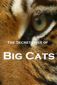 The Secret Lives of Big Cats' Poster
