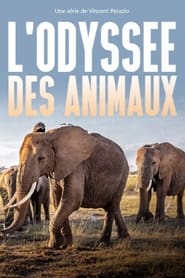 Streaming sources forLodysse des animaux
