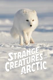 Strange Creatures of the Arctic' Poster